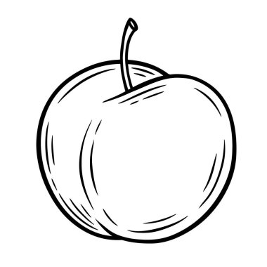 El yapımı erik, tek renkli oyma, beyaz arkaplanda izole edilmiş çizgi sanat tarzı vektör çizimi