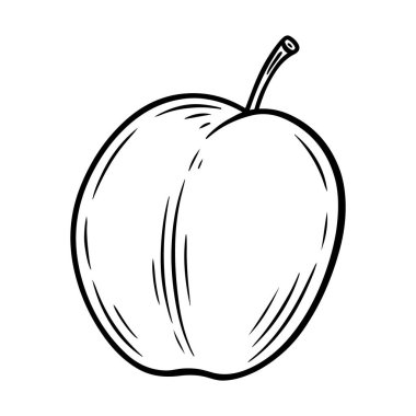 El yapımı erik, tek renkli oyma, beyaz arkaplanda izole edilmiş çizgi sanat tarzı vektör çizimi