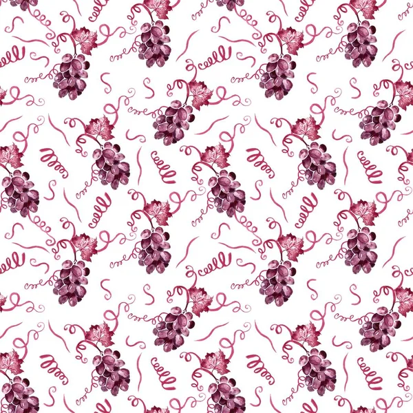 Seamless Pattern Watercolor Bunch Grapes Different Curl Vines Watercolor Burgundy — Stock Photo, Image