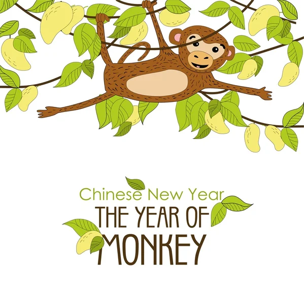 Komik yaramaz maymun kolda