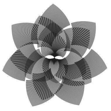 Profesyonel doğrusal çiçek vektörü. Simetrik çiçek desenleri. Organik çiçek sembolleri. Zarif taç yaprağı grafik elementi. EPS 10.