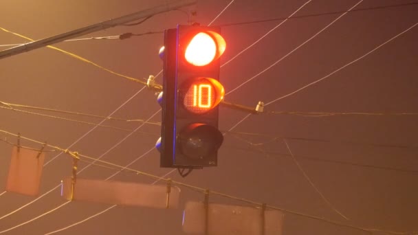 Primer plano de semáforos con temporizador de rojo a verde por la noche — Vídeos de Stock