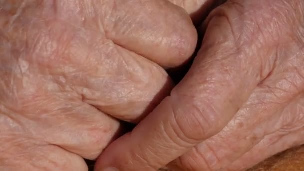 Senior woman massages painful hands . Wrinkled skin on the fingers of grandmother close-up — Stock Video