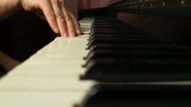 Mani femminili che suonano un dolce pezzo di musica classica su un bellissimo pianoforte a coda. Donna che suona il pianoforte, primo piano . — Video Stock