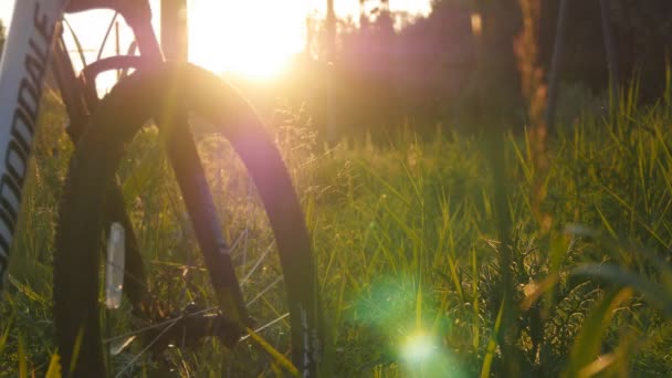 Zwei befreundete Männer laufen mit ihren Fahrrädern durch das grüne Gras auf der Wiese im Sonnenuntergang und unterhalten sich. Rückansicht — Stockvideo