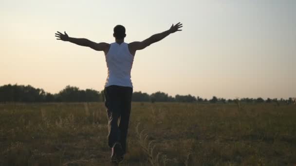 Jovem com as mãos levantadas correndo no campo e desfrutando da liberdade. Cara despreocupada correndo no campo de grama no verão. Fundo paisagístico. Relaxamento na natureza. Visão traseira traseira — Vídeo de Stock