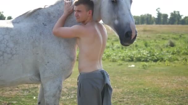 Jonge knappe man omhelzend en streelend wit paard buiten. Hij knuffelt een paard in het veld, streelt en aait de hengst. Groeten aan de dieren. Close-up — Stockvideo