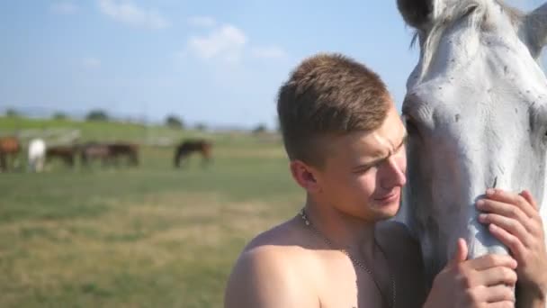 Joven hombre guapo abrazando y acariciando caballo blanco al aire libre. Un tipo abrazando a un caballo en el campo, acaricia y acaricia al semental. Amor a los animales. Primer plano — Vídeo de stock