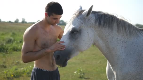 Joven hombre guapo abrazando y acariciando caballo blanco al aire libre. Un tipo abrazando a un caballo en el campo, acaricia y acaricia al semental. Amor a los animales. Primer plano — Vídeo de stock