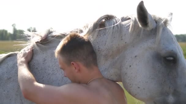 若いハンサムな男を受け入れ、屋外で白い馬を撫でる。男は畑で馬を抱きかかえて、種牡馬を愛撫し、撫でている。動物への愛。閉鎖 — ストック動画