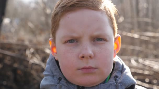 Portretul unui băiat serios cu părul roșu cu pistrui pe fundalul încețoșat al unei păduri la începutul primăverii. Copil ghimbir nefericit în căutarea în camera în aer liber. Expresie dureroasă pe fața masculină a copilului — Videoclip de stoc