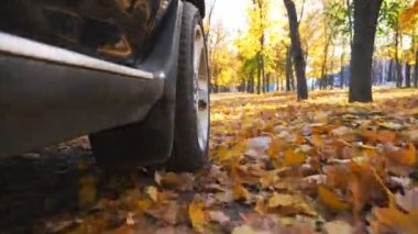 Sarı yaprakların üzerinden hızla geçen siyah SUV 'un görüntüsü. Güneşli bir günde kentsel sonbahar parkı boyunca güçlü bir araba sürüyor. Manzaralı sonbahar ortamı. Yavaş çekim