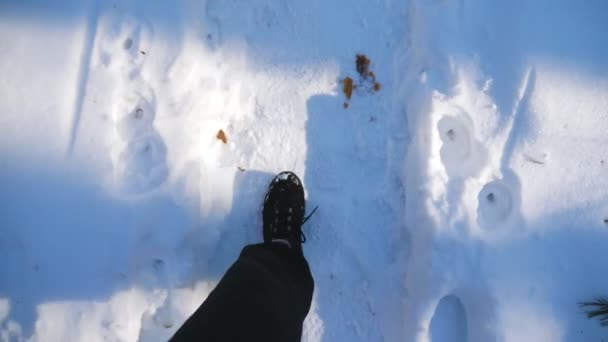 Vedere de sus pe picioare de sex masculin de mers pe traseu de zăpadă. Tipul cu cizme merge pe drum pas cu pas pe zăpadă albă limpede. Drumeţii nerecunoscuţi se plimbă prin pădure. Conceptul de iarnă. POV Mișcare lentă Închide — Videoclip de stoc