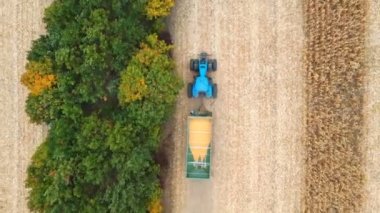 Traktörün tarla boyunca mısır taşıdığı hava görüntüsü. Tarım makinesinin üzerinde uçarak karavanda tahılla tarlaların içinden geçerek. Hasat konsepti. Yavaş çekim Üst Görünüm