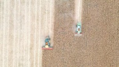 Mısırları toplarken havadan çekilen görüntüler. Arpa saplarını keserek tarladan geçen hasatçıların izini sürüyoruz. Çiftlikte çalışan tarımsal makinelerin üzerinde uçmak. Hasat konsepti. Üst görünüm