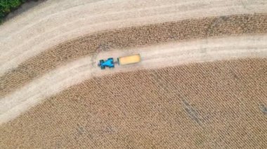 Hasat sırasında mısır kargosunu taşıyan traktörün hava görüntüsü. Tarım makinesinin üzerinde uçarak karavanda tahılla tarlaların içinden geçerek. Üst görünüm