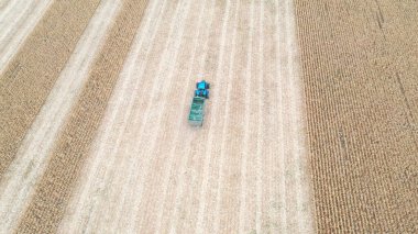 Hasat sırasında tarla boyunca hareket eden traktörün hava görüntüsü. Çiftlik arazisinden geçen tarımsal makineleri takip eden insansız hava aracı. Çiftçilik kavramı. Üst görünüm.