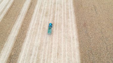 Hasat sırasında tarla boyunca hareket eden traktörün hava görüntüsü. Çiftlik arazisinden geçen tarımsal makineleri takip eden insansız hava aracı. Çiftçilik kavramı. Üst görünüm.