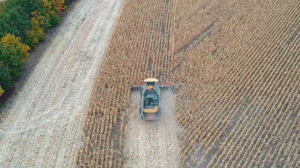 Colpo Aereo Combinare Lavoro Terreni Agricoli Volare Sopra Mietitrice Lentamente — Foto Stock