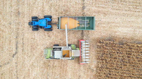 Aerial shot of combine loading off wheat grains into tractor truck. Harvester working in farmland. Harvesting concept. Slow motion Top view.