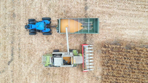옥수수 낟알을 트랙터 트레일러에 결합하는 농부들 농지에서 일하고 수확하는 뷰닫기 — 스톡 사진