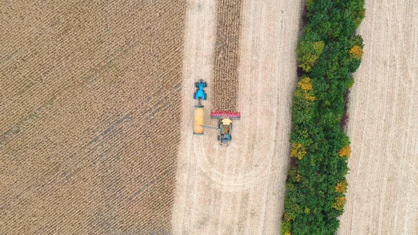 Aerial shot of combine loading off corn grains into tractor trailer. Flying over agricultural machines working in farmland. Harvesting concept. Slow motion Top view.