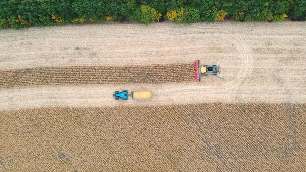 Luftaufnahme Eines Traktors Der Maisfracht Während Der Ernte Auf Einem — Stockfoto