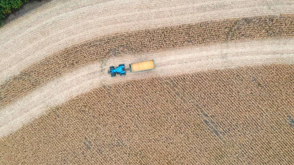 수확하는 옥수수 화물을 운반하는 트랙터의 기계를 주택에 곡식을 농지를 횡단하는 — 스톡 사진