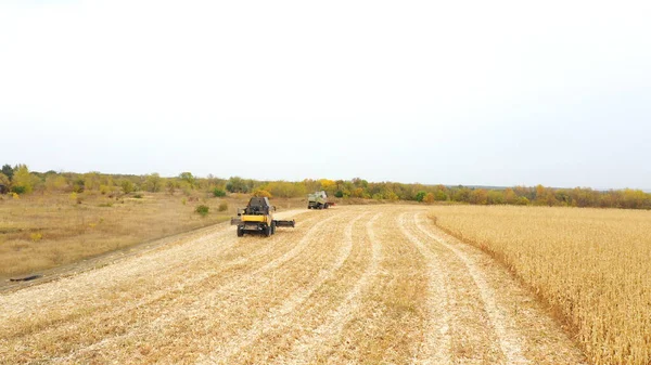 Luchtfoto Van Oogstmachines Die Herfstdag Boerderij Werken Vliegen Twee Combineert — Stockfoto