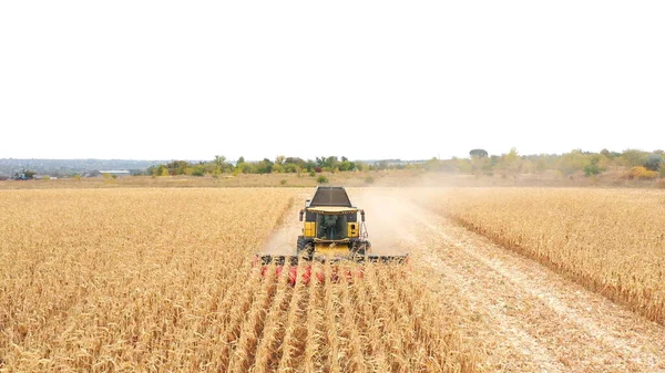 Luchtfoto Van Oogstmachine Die Maïsgewassen Verzamelt Landbouwgrond Combineer Werken Boerderij — Stockfoto