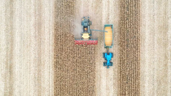 Vue Aérienne Combiner Chargement Des Grains Maïs Dans Remorque Tracteur — Photo