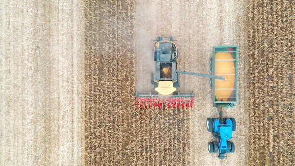 Aerial shot of combine loading off corn grains into tractor trailer. View from high to agricultural machines working in farmland during harvesting. Farming concept.