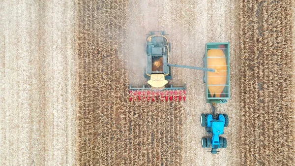 Luftaufnahme Eines Mähdreschers Der Maiskörner Einen Traktoranhänger Lädt Blick Von — Stockfoto