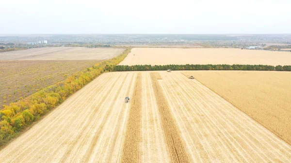 Tiro Aéreo Terras Agrícolas Durante Processo Colheita Vista Alta Para — Fotografia de Stock