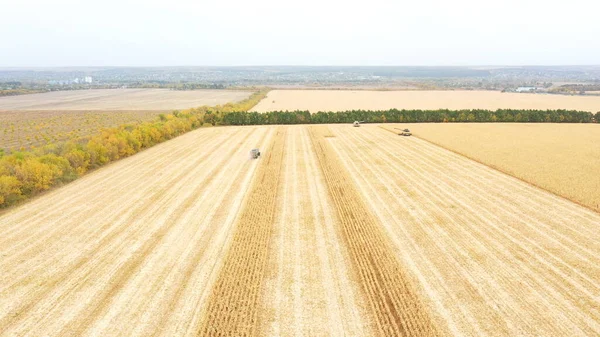 Tiro Aéreo Terras Agrícolas Durante Processo Colheita Vista Alta Para — Fotografia de Stock