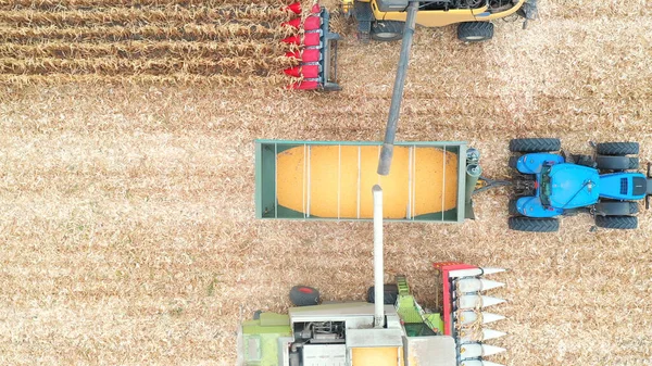 Luftaufnahme Von Zwei Mähdreschern Die Maiskörner Traktoranhänger Laden Überfliegen Landwirtschaftlicher — Stockfoto