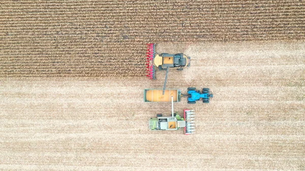 Luftaufnahme Von Zwei Mähdreschern Die Maiskörner Traktoranhänger Laden Überfliegen Landwirtschaftlicher — Stockfoto