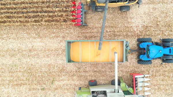 Luftaufnahme Von Zwei Mähdreschern Die Maiskörner Traktoranhänger Verladen Überfliegen Landwirtschaftlicher — Stockfoto