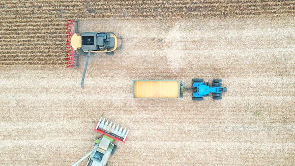 Aerial View Tractor Transporting Corn Cargo Field Harvesting Flying Agricultural — Stock Photo, Image