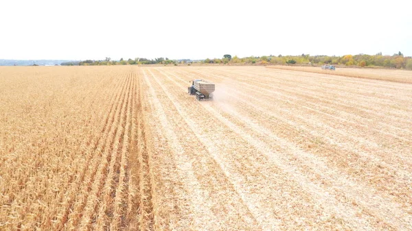 收获期间在田里运送玉米货物的牵引机的空中视图 无人机跟踪农业机械带着粮食拖车穿过农田 风景优美的乡村景色 耕作概念 — 图库照片