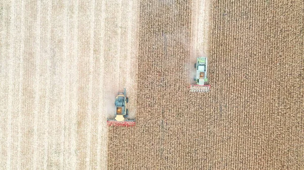 Foto Aérea Combina Recolección Maíz Cosechadoras Rastreo Drones Montando Través —  Fotos de Stock