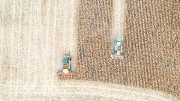 Аэросъемка Комбайнов Собирающих Кукурузу Летающие Над Комбайнами Медленно Пролетающие Через — стоковое фото