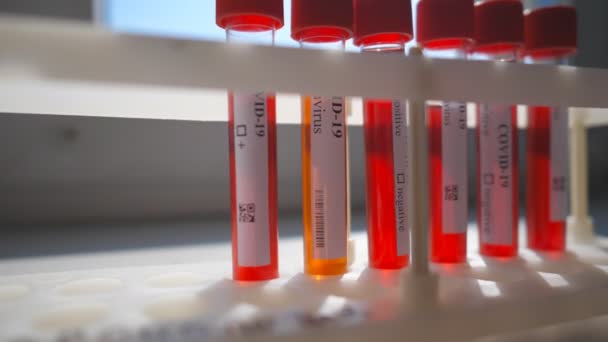 Tubes à essai avec des échantillons de sang au coronavirus en rack au laboratoire ou à l'hôpital. Test de laboratoire du sang des patients à la COVID-19. Concept de scientifiques recherche et sécurité de la vie contre la pandémie du virus de la couronne — Video