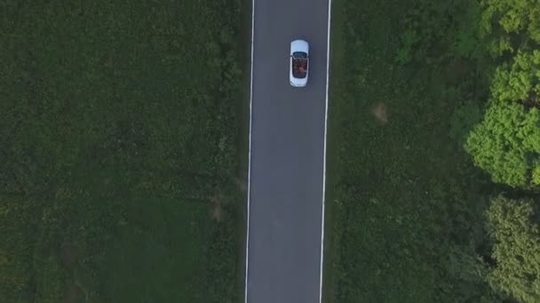 Повітряний постріл білого кабріолета їде по порожній сільській дорозі. Четверо молодих невпізнаваних жінок подорожують у касріолеті. Літати над автомобілем, їздити по сільській дорозі в літній день. Повільний рух — стокове відео