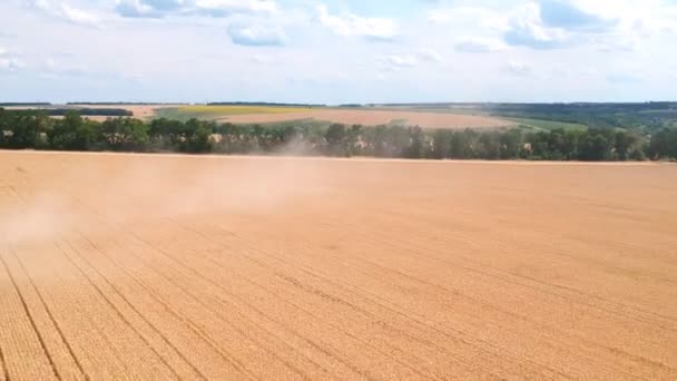 Tiro aéreo de un gran campo de trigo o tierras de cultivo después de la cosecha. Hermoso paisaje rural con la línea del cielo. Sobrevolando el entorno rural escénico. Vista superior — Vídeos de Stock