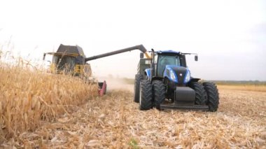 Ön manzara, mısır tanelerini traktör römorkuna yüklerken görülüyor. Tarım makineleri hasat sırasında tarım arazilerinde çalışıyor. Çiftlikte mısır hasadı topluyorum. Çiftçilik ya da kargo taşımacılığı kavramı