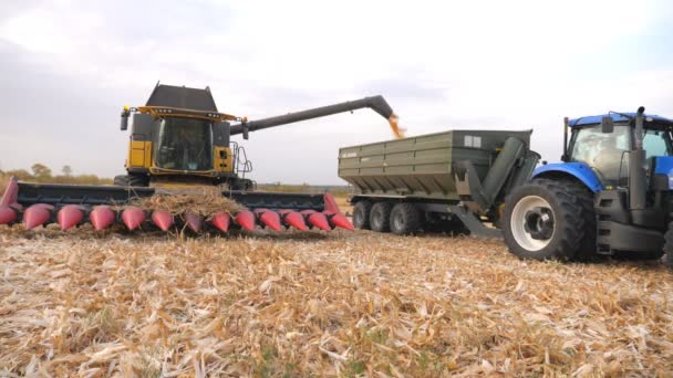 Combineer het laden van maïskorrels in trekkeraanhanger. Landbouwmachines die tijdens het oogsten op landbouwgrond werken. Maïsoogst verzamelen op de boerderij. Landbouw- of vrachtvervoersconcept. Langzame beweging — Stockvideo