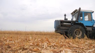 Büyük yük traktörü tarlada mahsul topluyor. Tarım makinesi karavanda mısır ya da buğdayla tarım arazisinden geçiyor. Hasat mevsimi. Çiftçilik ve tarım kavramı. Yavaş çekim