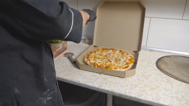 El chef masculino echando las hierbas secas el plato sabroso cocido en la caja de cartón a la cocina. Mano de cocinero en guante terminando una deliciosa pizza de cuatro quesos con una mezcla de pimientos y sal en la cocina — Vídeo de stock