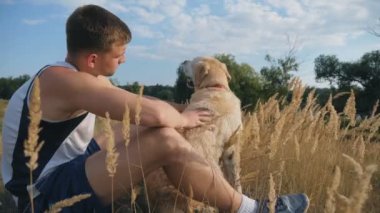 Genç adam çimde oturur ve labradorunu ya da golden retriever 'ını okşar. Adam doğada evcil hayvanıyla vakit geçiriyor. Köpeği olan beyaz bir erkek, dinlenmenin tadını çıkarıyor. Yan görünüm Yavaş çekim